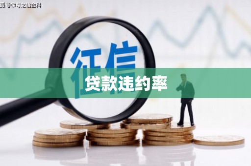 关岭贷款违约率