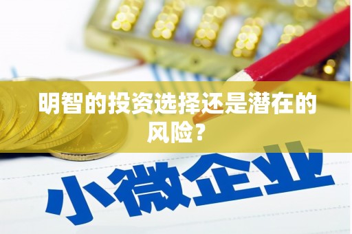 关岭明智的投资选择还是潜在的风险？
