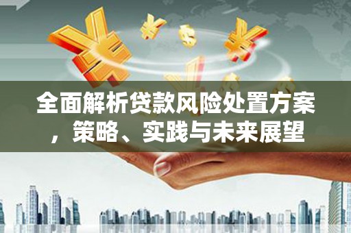 关岭全面解析贷款风险处置方案，策略、实践与未来展望