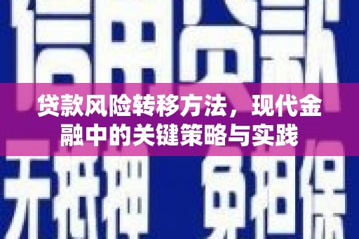 关岭贷款风险转移方法，现代金融中的关键策略与实践