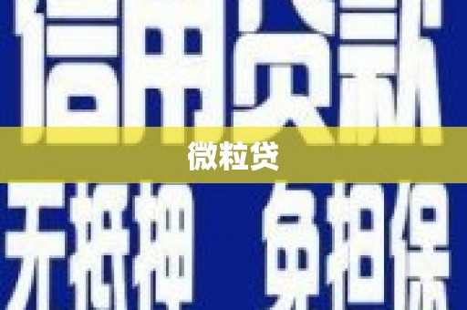 关岭微粒贷