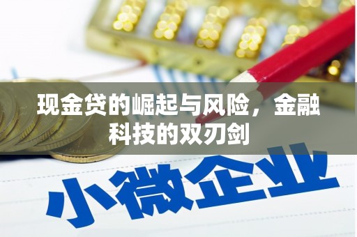 关岭现金贷的崛起与风险，金融科技的双刃剑