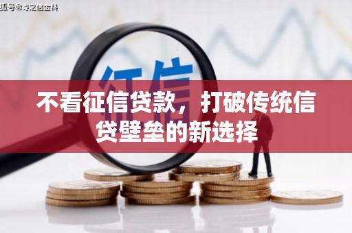关岭不看征信贷款，打破传统信贷壁垒的新选择