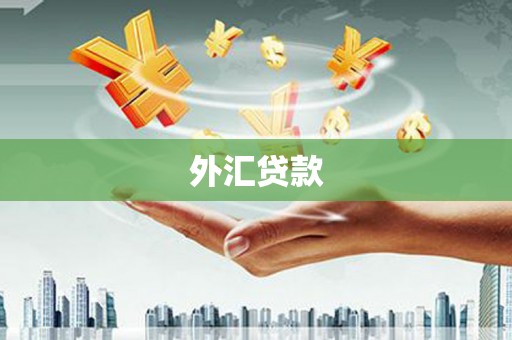 关岭外汇贷款