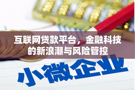 关岭互联网贷款平台，金融科技的新浪潮与风险管控