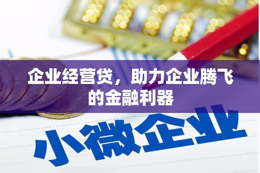 关岭企业经营贷，助力企业腾飞的金融利器