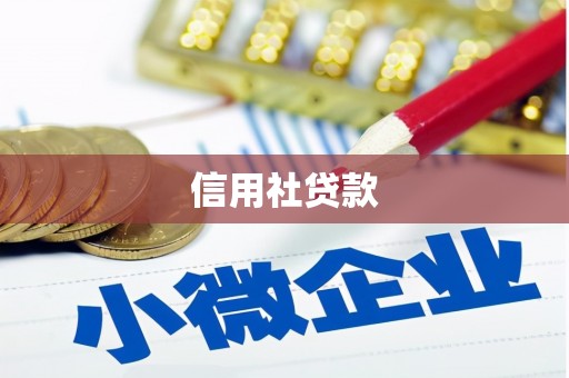 关岭信用社贷款