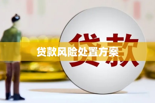 关岭贷款风险处置方案