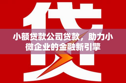 关岭小额贷款公司贷款，助力小微企业的金融新引擎