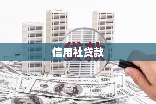 关岭信用社贷款