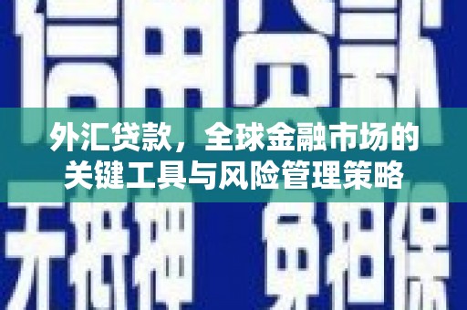关岭外汇贷款，全球金融市场的关键工具与风险管理策略