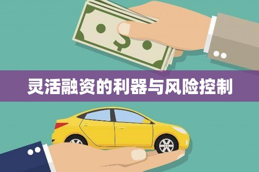 关岭灵活融资的利器与风险控制
