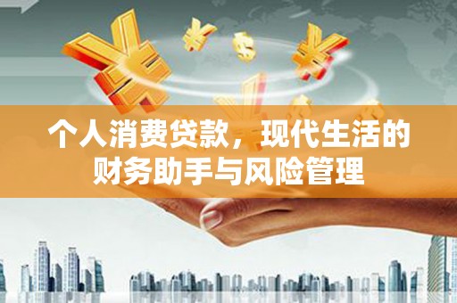 关岭个人消费贷款，现代生活的财务助手与风险管理