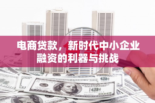 关岭电商贷款，新时代中小企业融资的利器与挑战