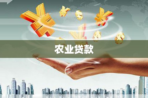 关岭农业贷款