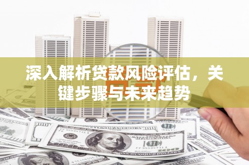 关岭深入解析贷款风险评估，关键步骤与未来趋势