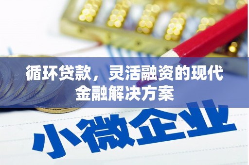 关岭循环贷款，灵活融资的现代金融解决方案