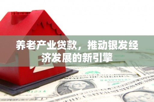 关岭养老产业贷款，推动银发经济发展的新引擎