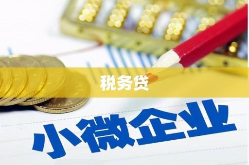 关岭税务贷