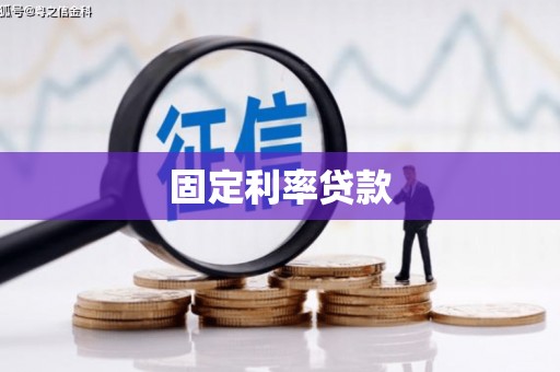 关岭固定利率贷款