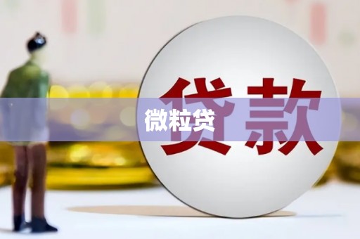关岭微粒贷