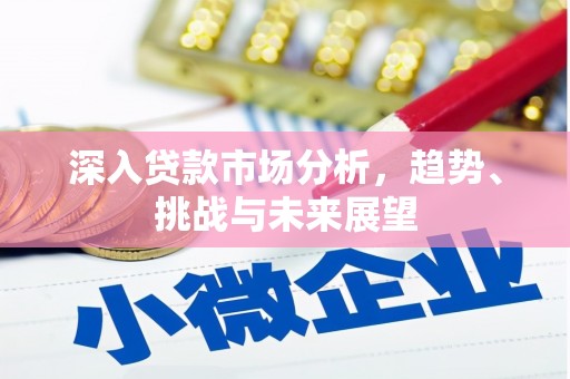 关岭深入贷款市场分析，趋势、挑战与未来展望