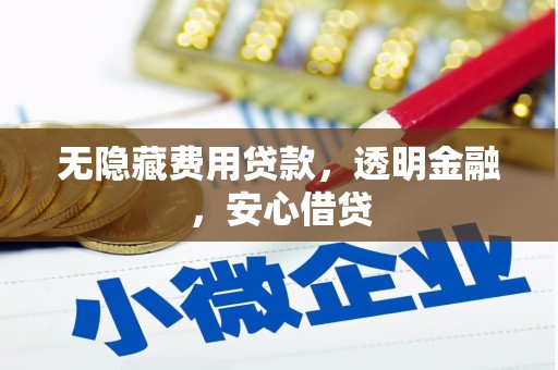 关岭无隐藏费用贷款，透明金融，安心借贷