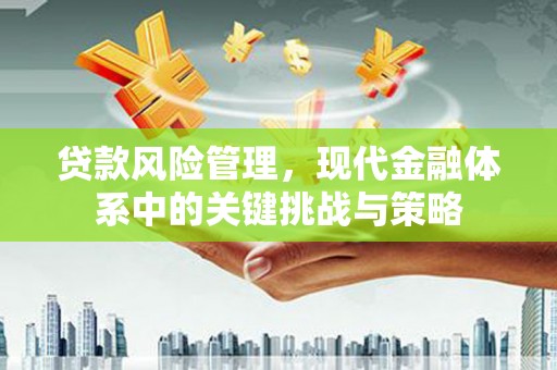 关岭贷款风险管理，现代金融体系中的关键挑战与策略