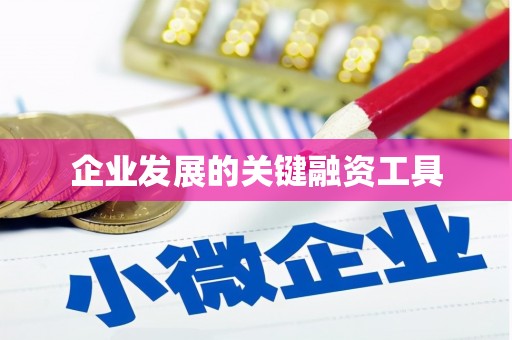 关岭企业发展的关键融资工具