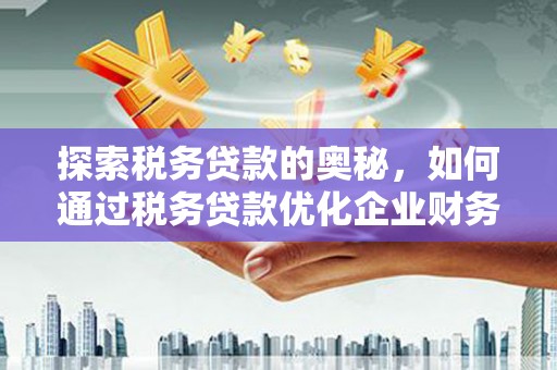 关岭探索税务贷款的奥秘，如何通过税务贷款优化企业财务