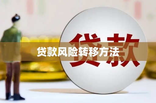 关岭贷款风险转移方法