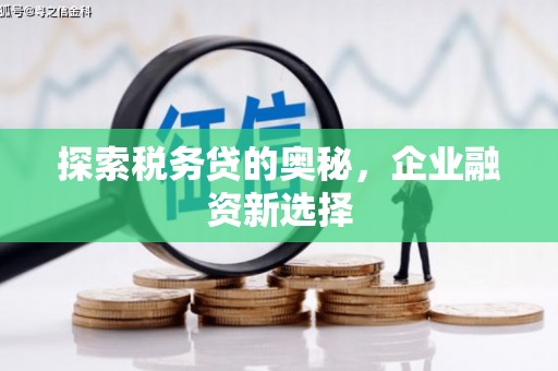 关岭探索税务贷的奥秘，企业融资新选择