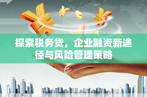 关岭探索税务贷，企业融资新途径与风险管理策略