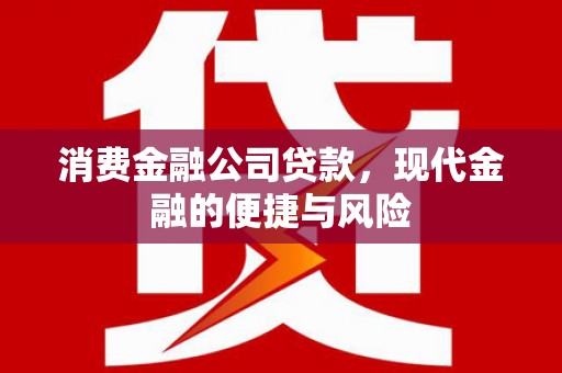 关岭消费金融公司贷款，现代金融的便捷与风险