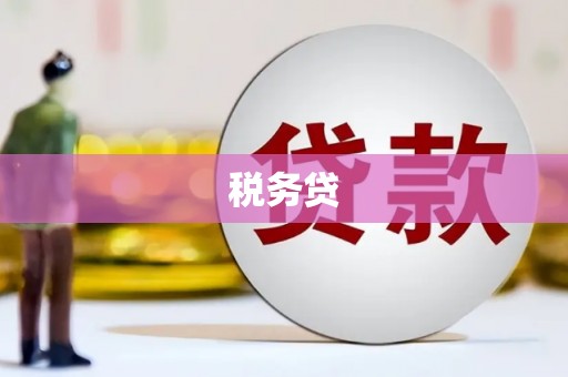 关岭税务贷