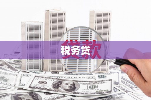 关岭税务贷