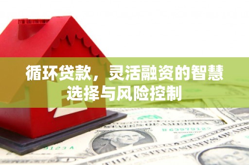 关岭循环贷款，灵活融资的智慧选择与风险控制