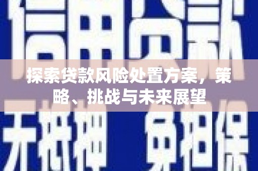 关岭探索贷款风险处置方案，策略、挑战与未来展望