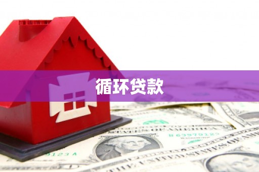 关岭循环贷款