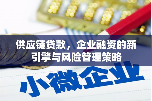 关岭供应链贷款，企业融资的新引擎与风险管理策略