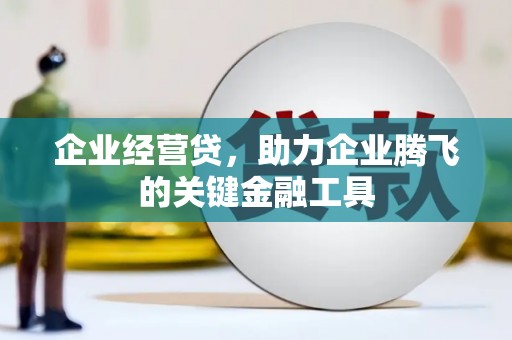 关岭企业经营贷，助力企业腾飞的关键金融工具
