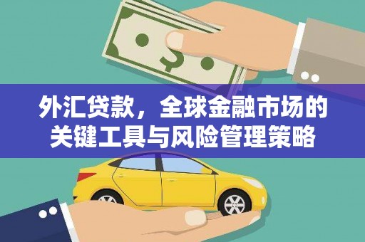 关岭外汇贷款，全球金融市场的关键工具与风险管理策略