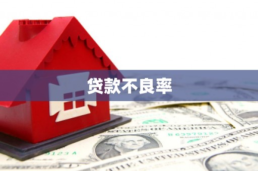 关岭贷款不良率