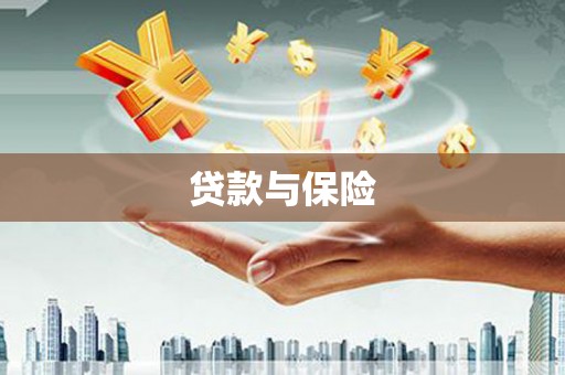 关岭贷款与保险