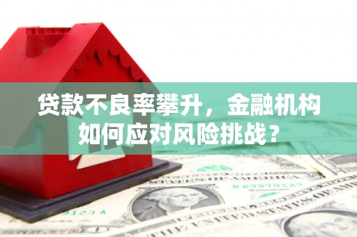 关岭贷款不良率攀升，金融机构如何应对风险挑战？