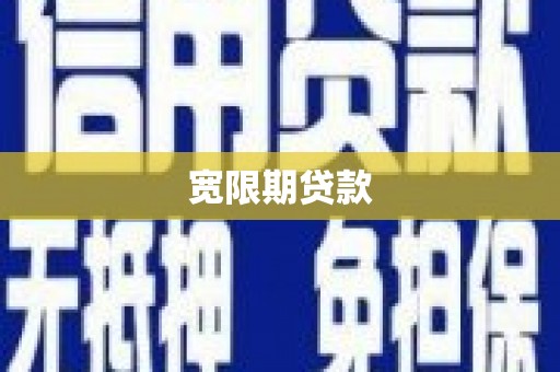 关岭宽限期贷款