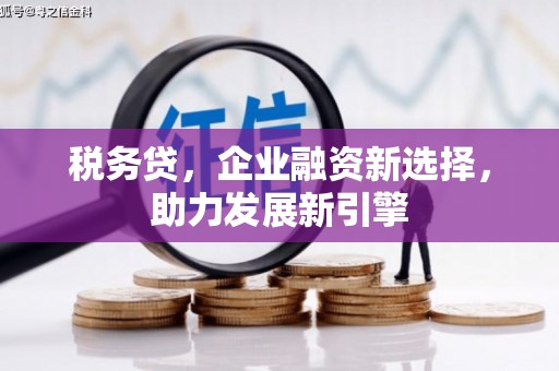 关岭税务贷，企业融资新选择，助力发展新引擎