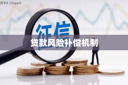 关岭贷款风险补偿机制