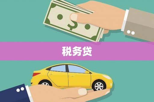 关岭税务贷