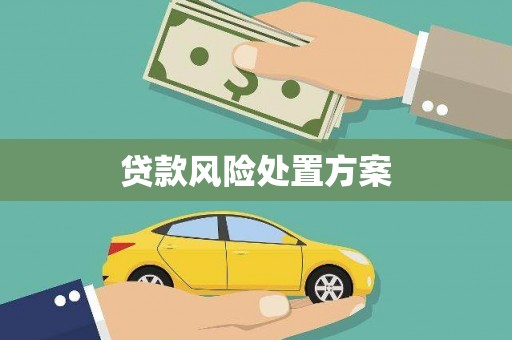 关岭贷款风险处置方案